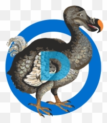 Transitioning From Jackass To Dodo New Democratic Party - png