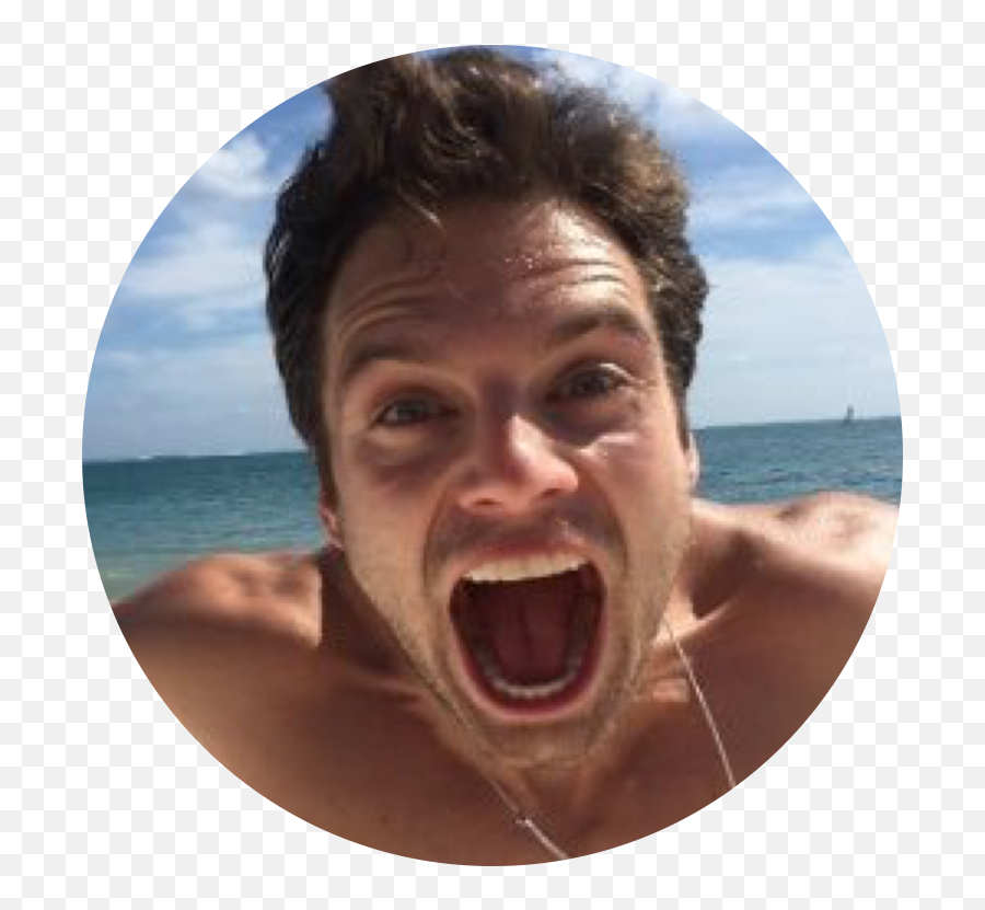 Sebastian Stan - Sebastian Stan Instagram Png,Sebastian Stan Transparent