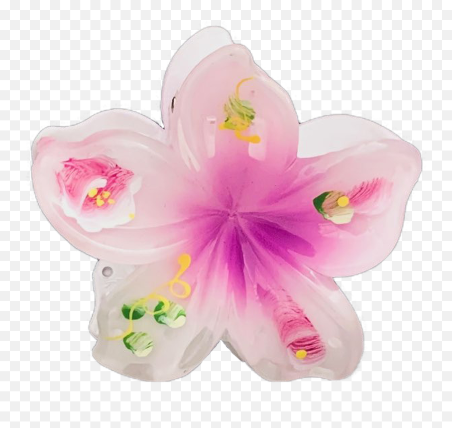 Painted Large Hair Clip By Hawaiian Glamour - Girly Png,Hawaiian Flower Icon