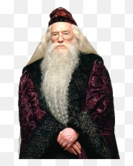 Albus Dumbledore Png Image - Potter And The Stone,Dumbledore Png