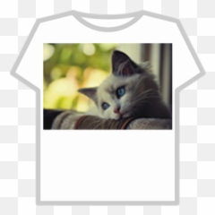 Sad - Cat Roblox U Not Talk To Me Wh6 Memes Png,Sad Cat Png