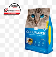 Innovative Clumping Cat Litter Intersand - Odourlock Calming Breeze png