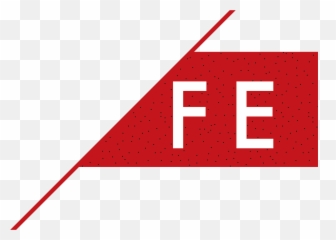 Fire Engineering Ltd - Vertical png