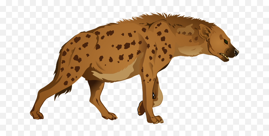Hyena Png - Hyena Clipart,Hyena Png