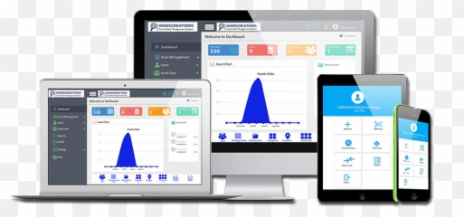 Asset Management Software Fixed 2020 - Physical Verification Form Content png