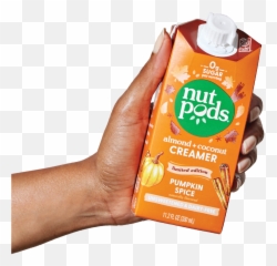 Pumpkin Spice Png
