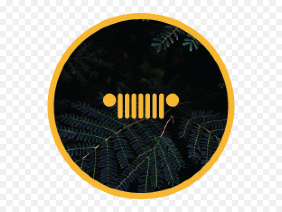 Jeep Wrangler - Jeep Australia Png,Wrangler Icon