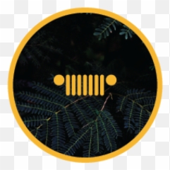 Jeep Wrangler - Australia png