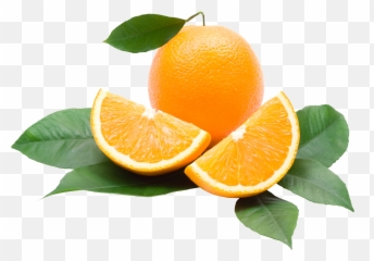 Fruits Orange Transparent U0026 Png Clipart Free Download - Ywd Orange Png,Clementine Png