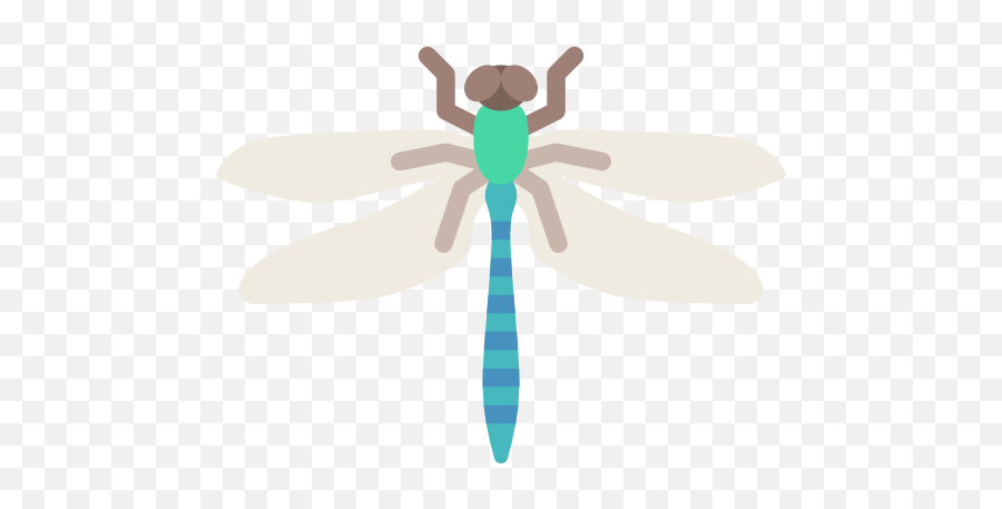 Png File For Designing Projects - Insects,Dragonfly Png