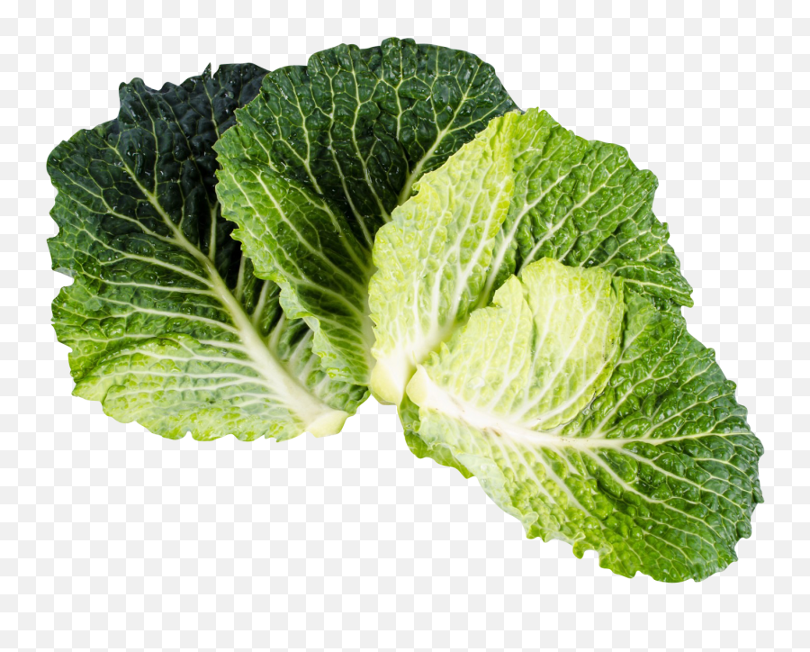 Download Kale Png Image For Free - Kale Isolated,Kale Png