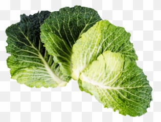 Download Kale Png Image For Free - Kale Isolated,Kale Png
