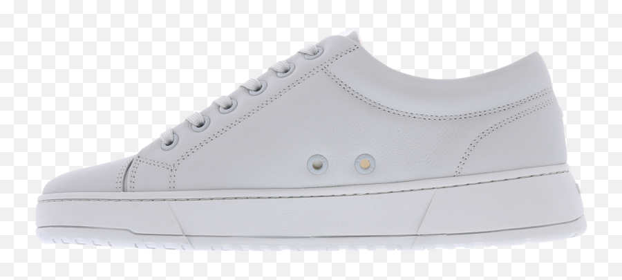 Order Lt01 Premium Microchip Sneakers - Skate Shoe Png,Microchip Png