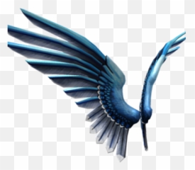 Blue Jay Wings - Blue Jay Bird Wings Png,Blue Jay Png