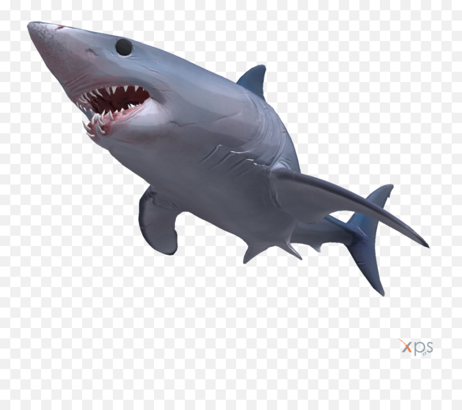 Mako Shark Png 6 Image - Depth Game Mako Shark,Shark Transparent Background