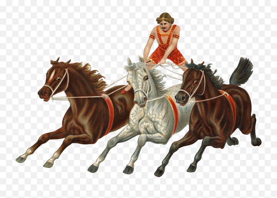 Circus Clipart Horses Transparent Free For - Horses Carriage Png,Horses Png