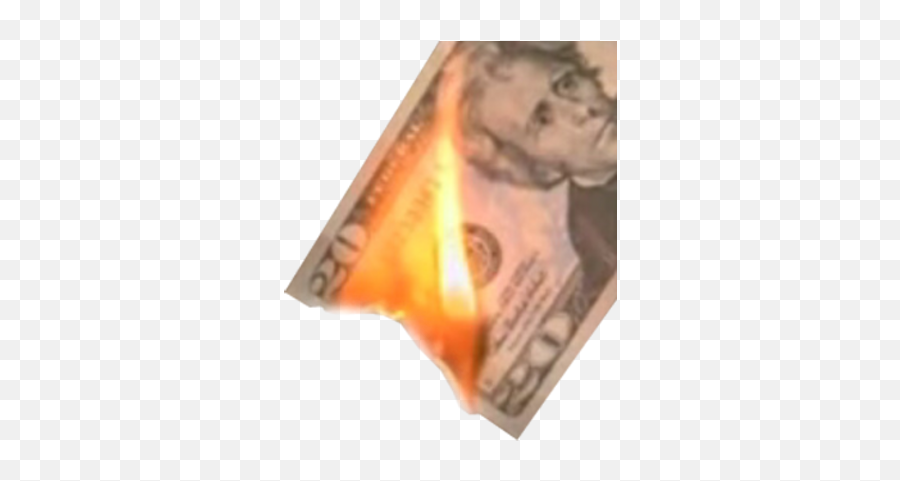 Cafepress Andrew Jackson Portrait - Burned Money Transparent Png,Andrew Jackson Png