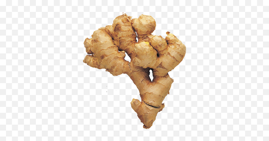 Ginger 100g - Greater Galangal Png,Ginger Png