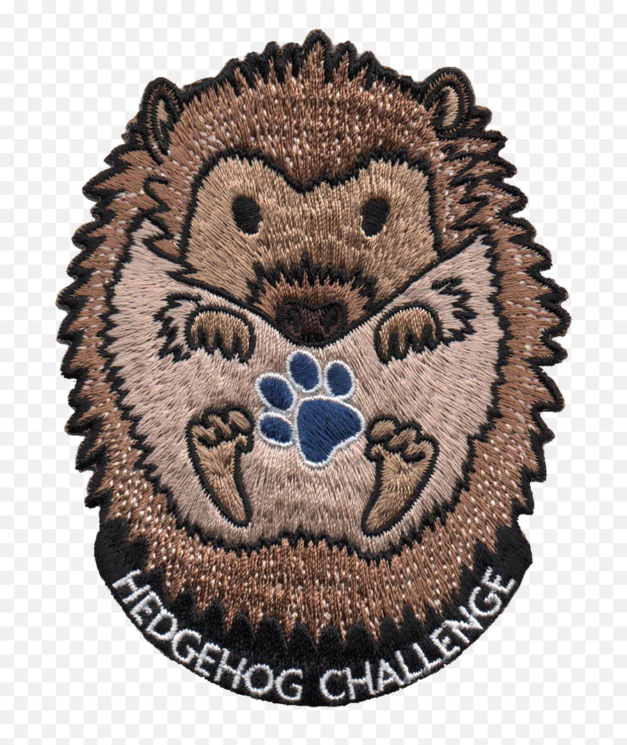 Hedgehog Challenge - Smashing Pumpkins Teargarden By Kaleidyscope Back Png,Hedgehog Transparent