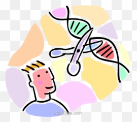 Student Observing A Dna Strand Royalty Free Vector Clip Art - Genetic Modification Clipart Png,Dna Strand Png
