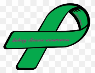 Free Kidney Disease Cliparts Download Clip Art - Kidney Disease Ribbon Color Png,Kidney Png