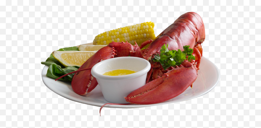 Buy Live Maine Lobster U0026 Fresh Seafood Online Cape - Lobster On Plate Png,Lobster Png