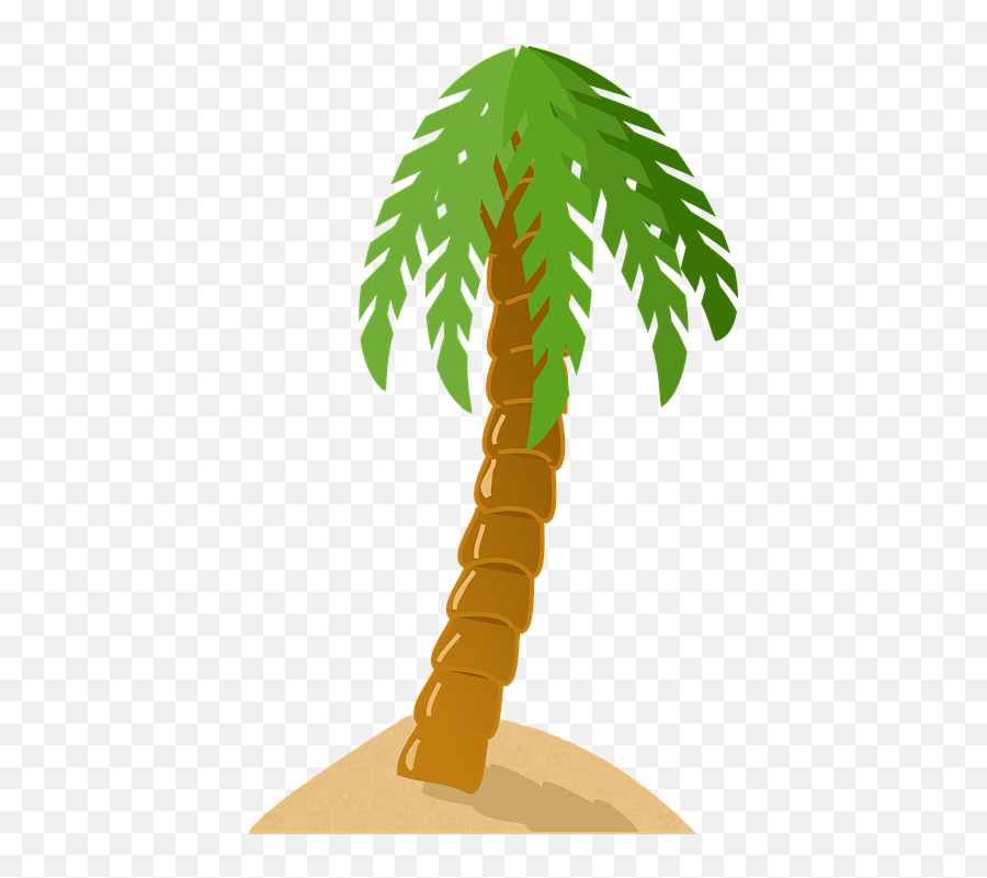 Palm Tree Exotic Tropical Island Green Sand Beach - Palm Palm Tree Clip Art Png,Sand Clipart Png