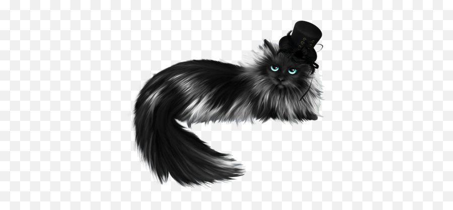 Cat In The Hat Chapeau Chat Gothic - Costume Hat Png,Cat In The Hat Png