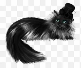 Cat In The Hat Chapeau Chat Gothic - Costume Hat Png,Cat In The Hat Png