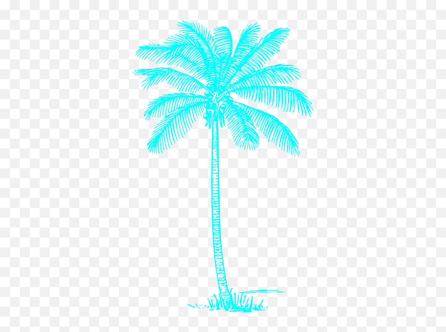 Clipart Transparent Palm Tree Clip Art - Coconut Tree Pencil Drawing Png,Tree Clipart Black And White Png