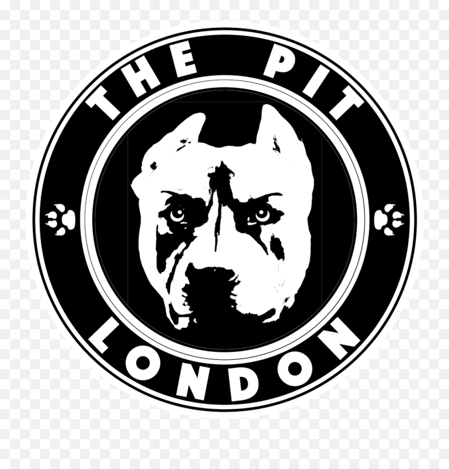 Tycho Jones - Pseudo Video U2014 The Pit London Automotive Decal Png,Lyrical Lemonade Logo
