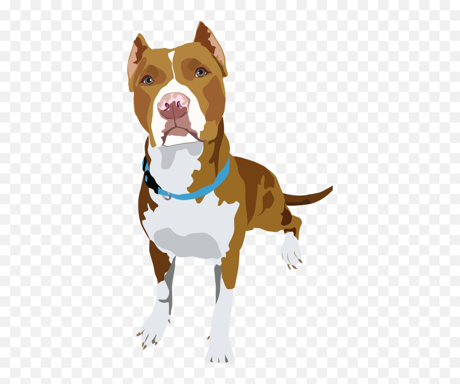 Pet Portraits Pitbull Art Dog - Pitbull Illustration Png,Pit Bull Png