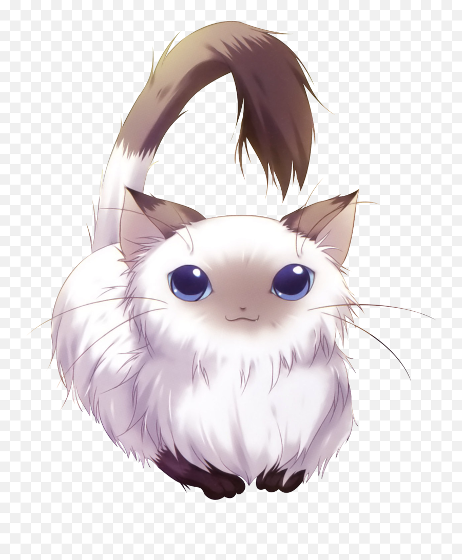 Adorable Anime Cats - Cat Anime Render Png,Anime Cat Png