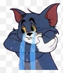 Sad Cat Alone Cry Blue Tumblr Boy Freetoedit - Tom And Jerry Duckling Png,Sad Cat Png