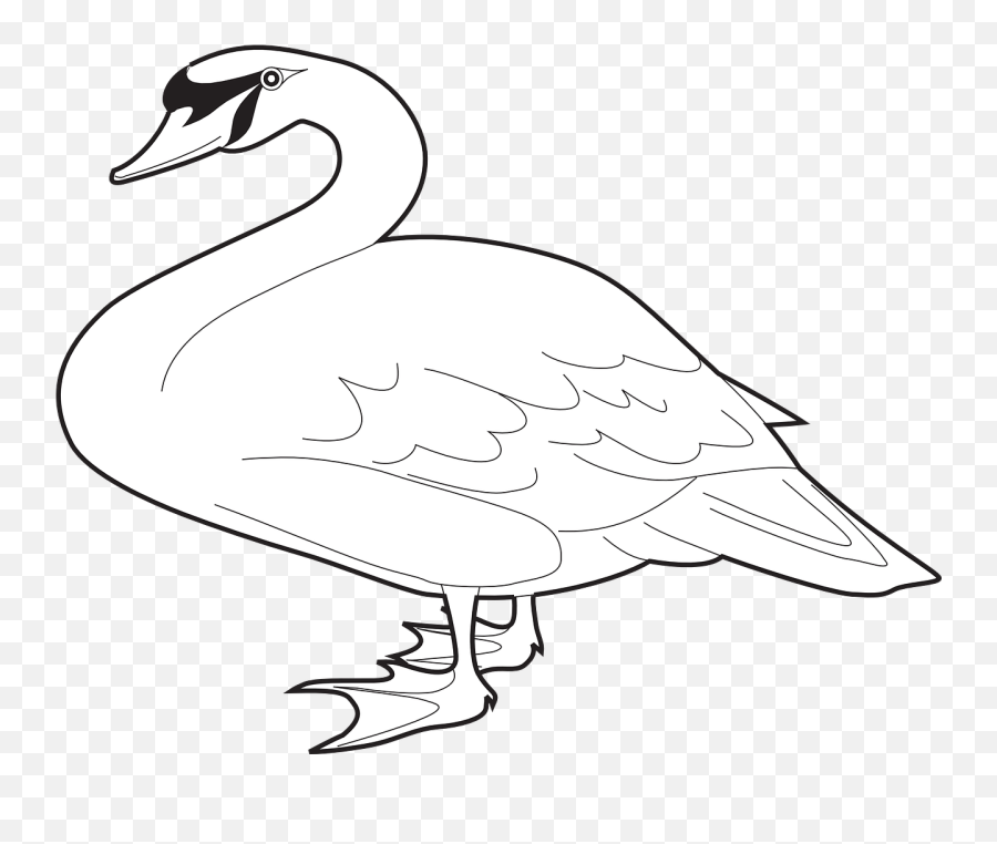 Goose Clipart Black And White - White Long Neck Goose Swan Png,Goose Transparent