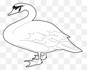 Goose Clipart Black And White - White Long Neck Goose Swan Png,Goose Transparent