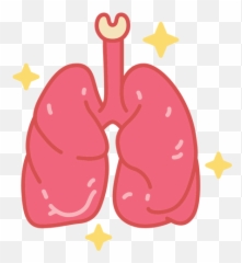 Body Icons In Svg Png Ai To Download - Organ Cartoons Transparent Background