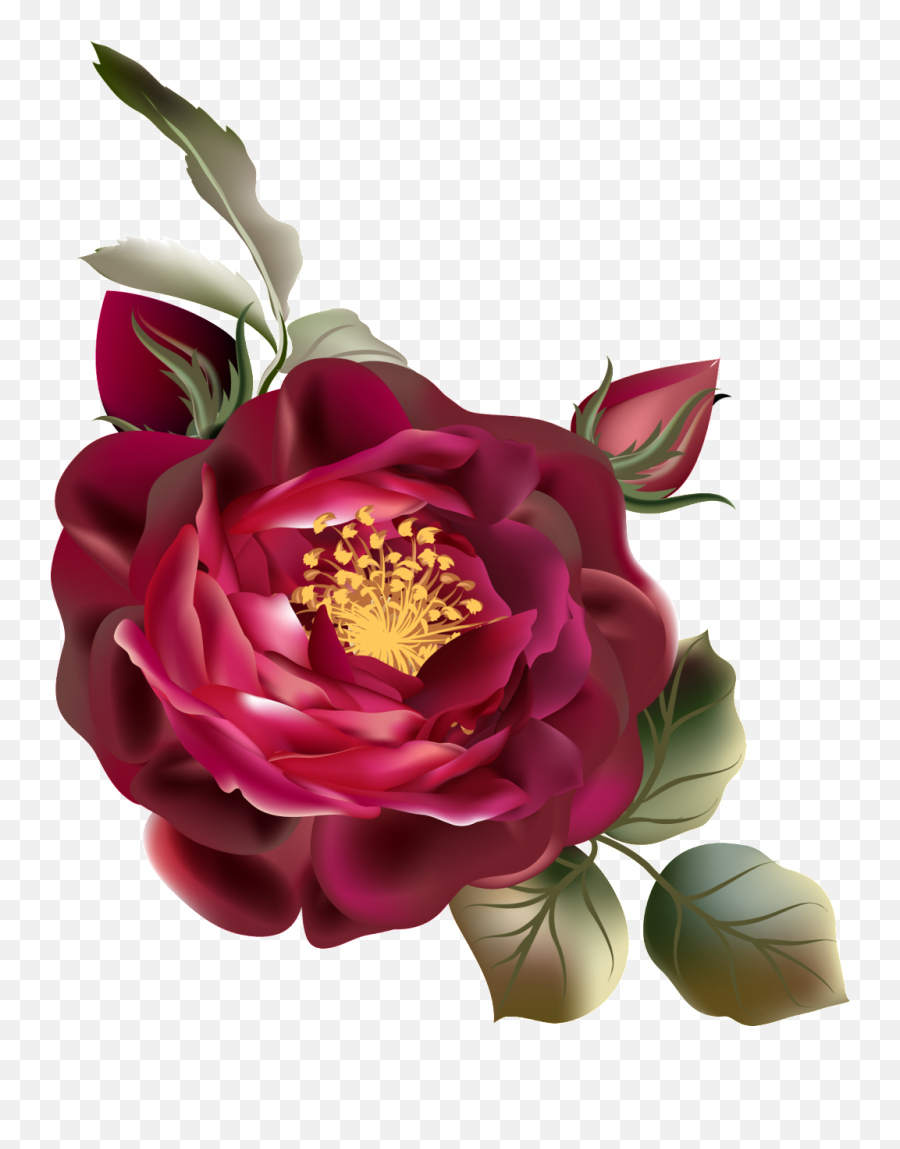 Download Png De Ornamentação Cor Rosa Vermelha - Vintage Flor Vermelha Png,Vintage Flowers Png