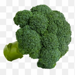 Broccoli Welcome To Grönsaksmästarna Png Transparent