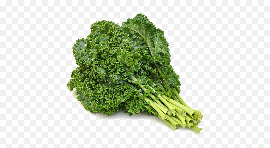 Green Kale - Kale Curly Png,Kale Png