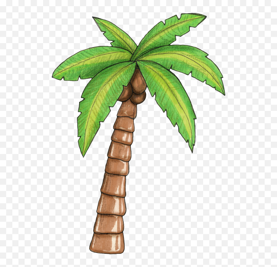Palm Clipart Moana Transparent Free For Download - Moana Palm Tree Png,Palm Frond Png