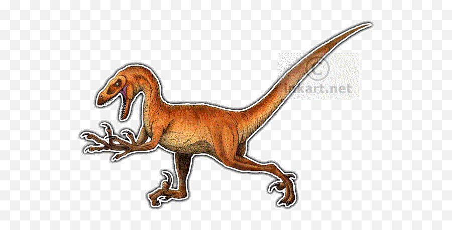 Velociraptor Png 2 Image - Drawing,Velociraptor Png