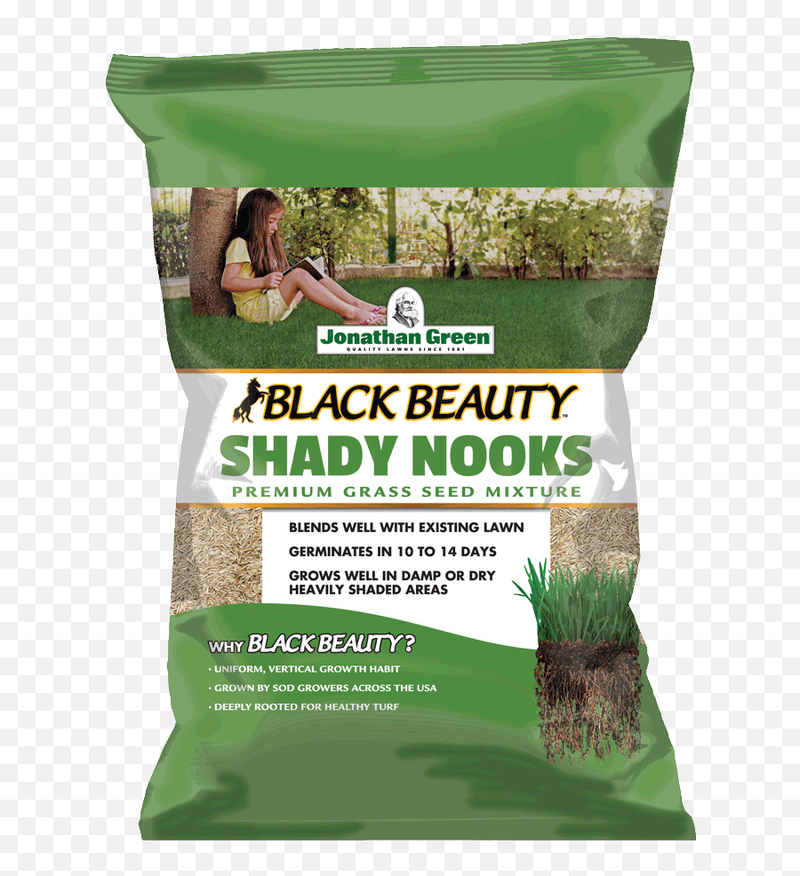 Black Beauty Shady Nooks Grass Seed Png Dry
