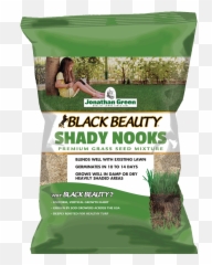 Black Beauty Shady Nooks Grass Seed Png Dry
