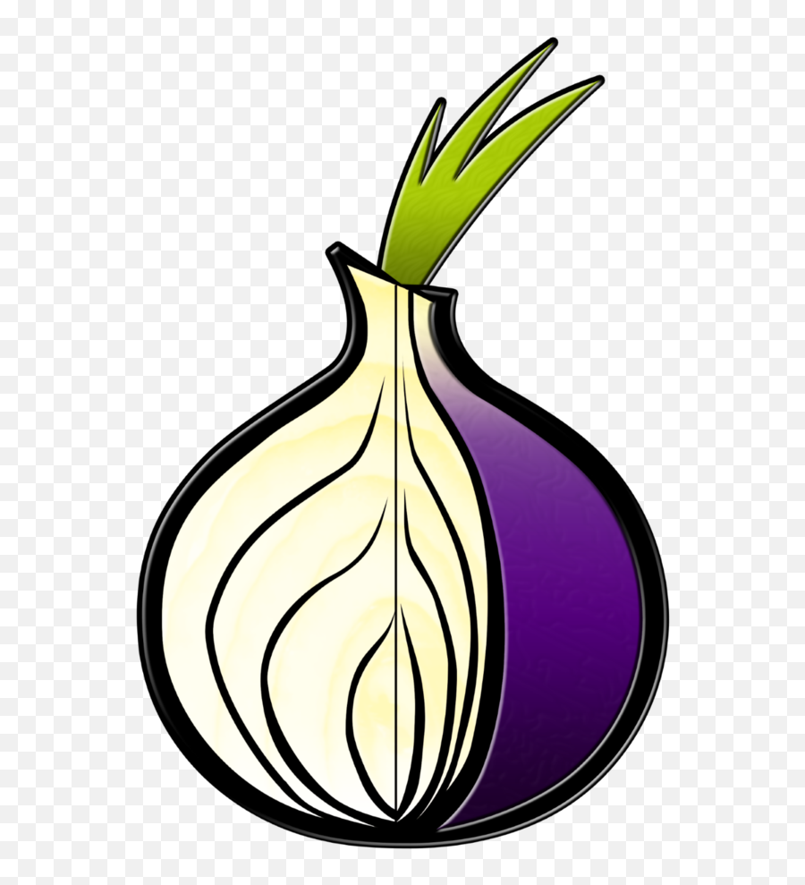 Onion - Tor Browser Icon Png,Onion Transparent Background