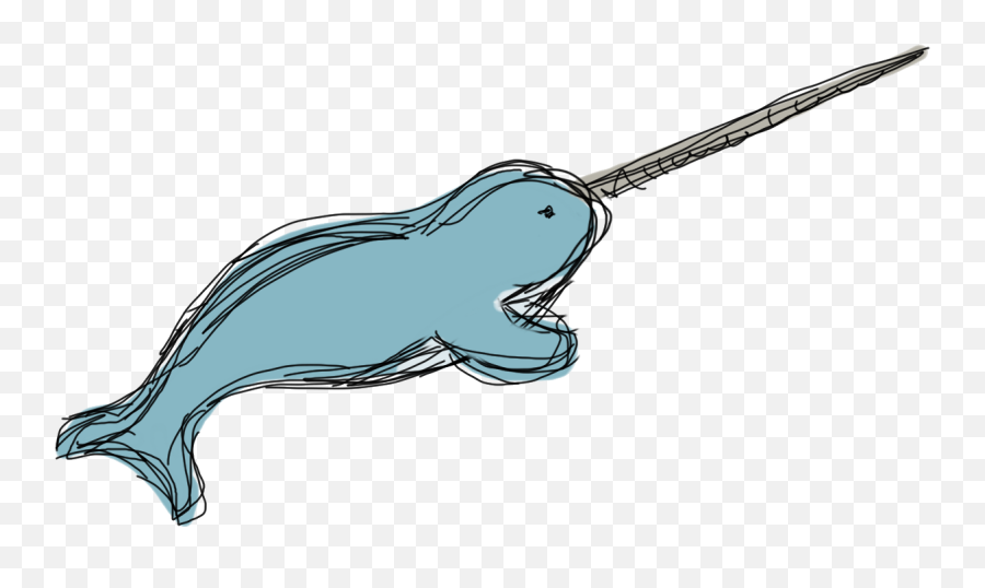 Hd Narwhal Transparent Png Image - Narwhal Png Transparent,Narwhal Png