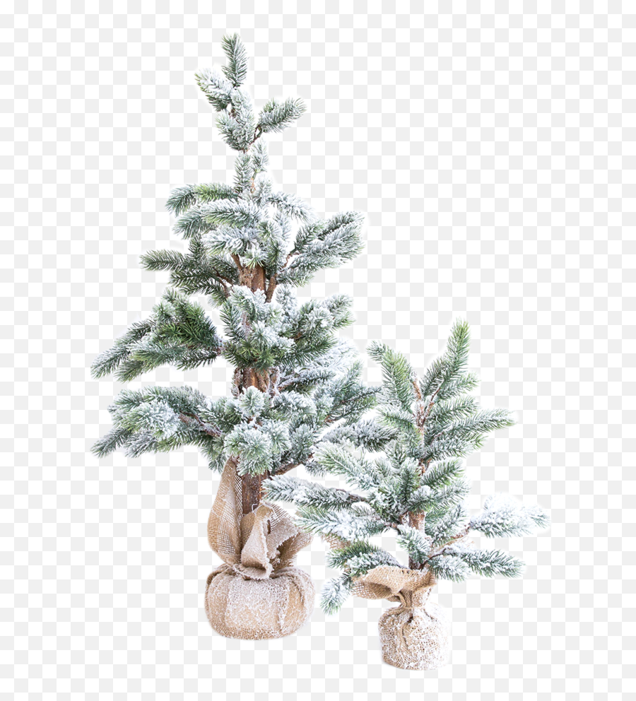 Download Faux Snowy Pine Tree 2 - Christmas Tree Png,Snowy Tree Png