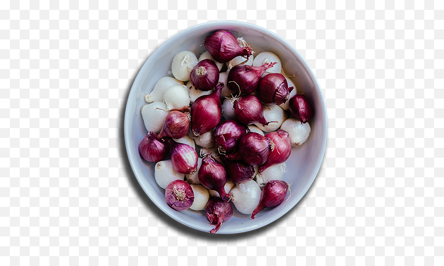 Dailo - Red Onion Png,Onion Transparent Dailo - Red Onion Png,Onion Transparent