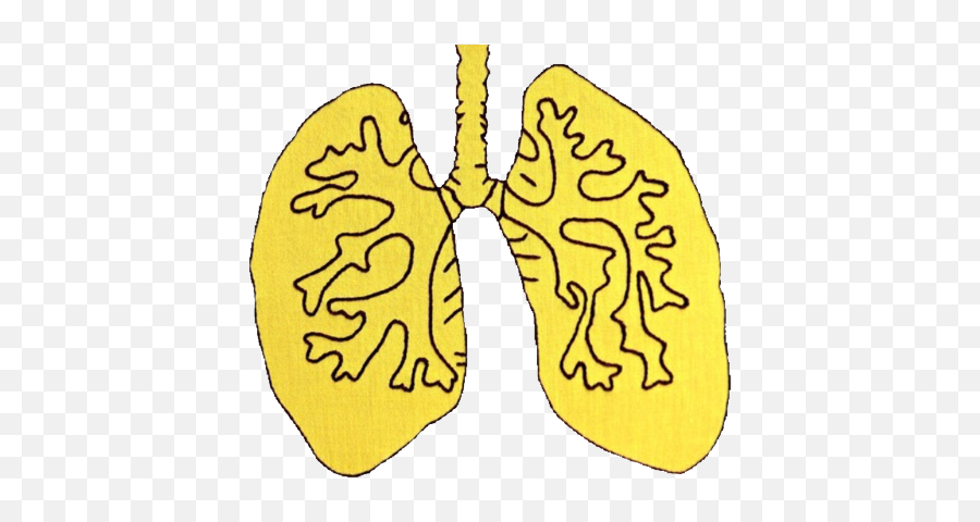 Yellow Lungs Aesthetic Art Artsy - Yellow Tumblr Aesthetic Png,Aesthetic Png Tumblr