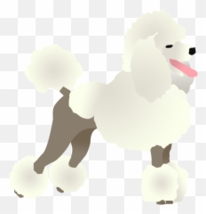Download Poodle - Standard Poodle Png,Poodle Png